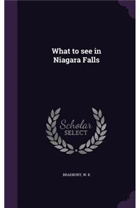 What to See in Niagara Falls