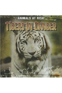 Tigers in Danger
