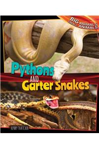 Pythons and Garter Snakes