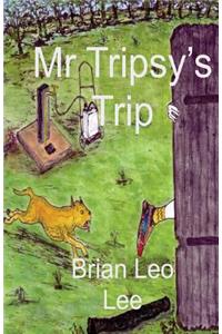 Mr Tripsy's Trip