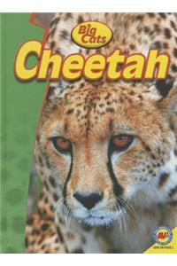 Cheetah