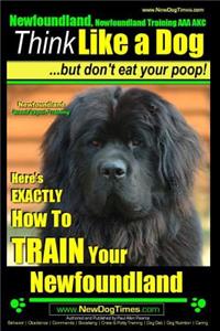 Newfoundland, Newfoundland Training AAA AKC