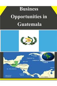 Business Opportunities in Guatemala