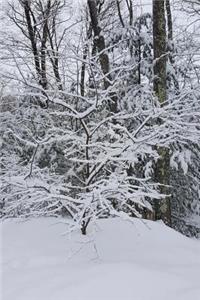 Snowstorm Winter Weather Journal