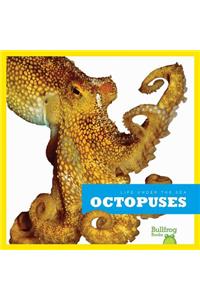 Octopuses