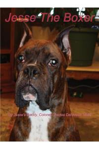 Jesse The Boxer