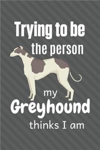 Trying to be the person my Greyhound thinks I am