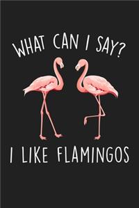 What Can I Say I Like Flamingos