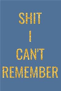 Shit I Can't Remember