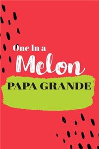 One In a Melon Papa