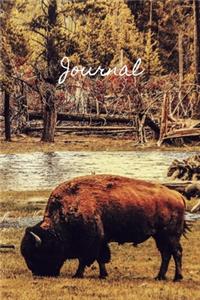 Journal