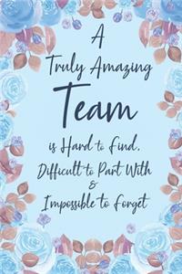 A Truly Amazing Team is Hard to Find Difficult to Part With and Impossible to Forget