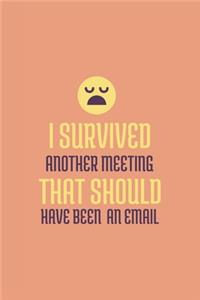 I Survived Another Meeting That Should Have Been An Email