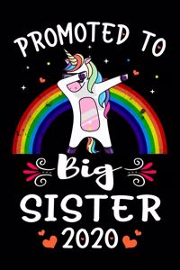 Promoted To Big Sister 2020