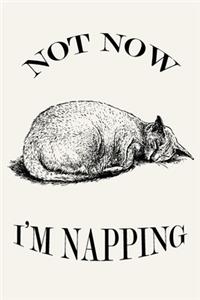 Not Now I'm Napping