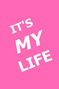 2020 Daily Planner Funny Saying It's My Life 388 Pages