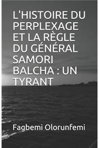 L'Histoire Du Perplexage Et La R