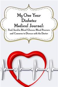 My One-Year Diabetes Medical Journal