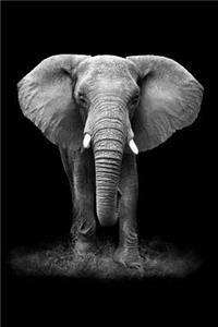 Elephant Notebook