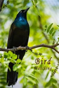 Bird Watching