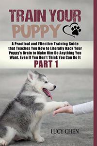 Train your Puppy