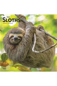 Sloths 2021 Square