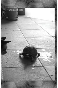 Turtles And Cats