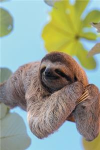 Sloth Notebook