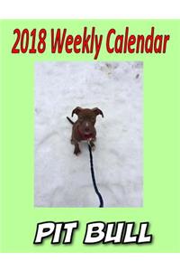 2018 Weekly Calendar Pit Bull
