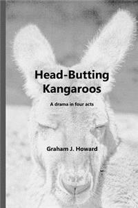 Head-Butting Kangaroos