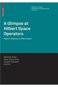 Glimpse at Hilbert Space Operators