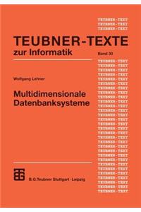 Multidimensionale Datenbanksysteme