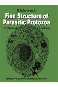 Fine Structure of Parasitic Protozoa
