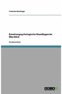 Emotionspsychologische Grundlagen im Überblick