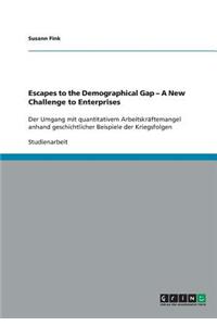 Escapes to the Demographical Gap - A New Challenge to Enterprises