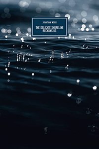 The Delicate Shoreline Beckons Us