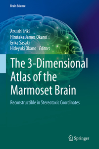 3-Dimensional Atlas of the Marmoset Brain