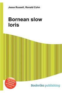 Bornean Slow Loris