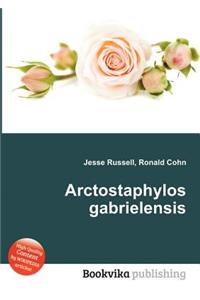 Arctostaphylos Gabrielensis