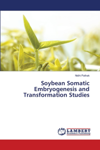 Soybean Somatic Embryogenesis and Transformation Studies