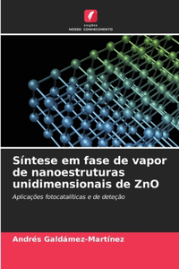 Síntese em fase de vapor de nanoestruturas unidimensionais de ZnO