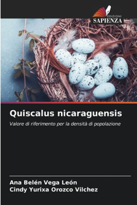 Quiscalus nicaraguensis