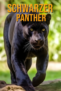 Schwarzer Panther