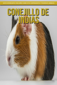 Conejillo de indias - Datos interesantes para niños sobre estos sorprendentes y poderosos animales