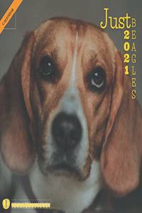 Just Beagles 2021