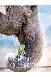 Elephant Coloring Book