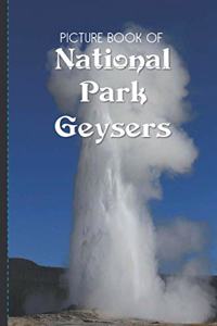 Picture Book Of National Park Geysers