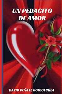 Un pedacito de amor