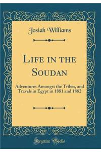 Life in the Soudan: Adventures Amongst the Tribes, and Travels in Egypt in 1881 and 1882 (Classic Reprint)