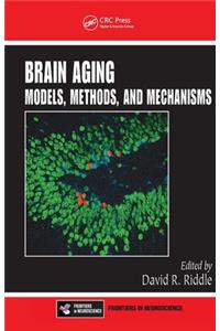 Brain Aging